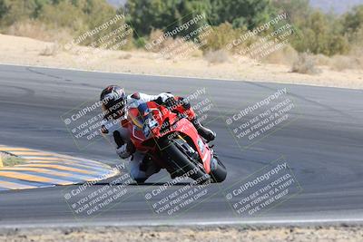 media/May-13-2023-SoCal Trackdays (Sat) [[8a473a8fd1]]/Turn 10 (920am)/